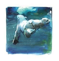 Sub Aqua (Mark Adlington) - Muzeo.com