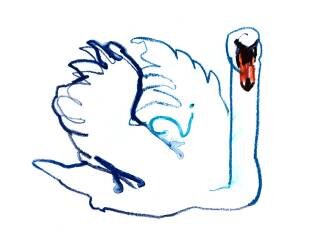 Swan (Mark Adlington) - Muzeo.com