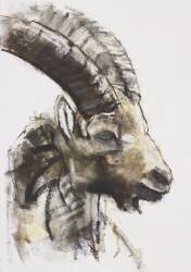 Testa (Mark Adlington) - Muzeo.com