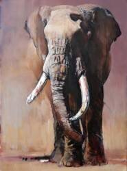 Tofauti (Mark Adlington) - Muzeo.com