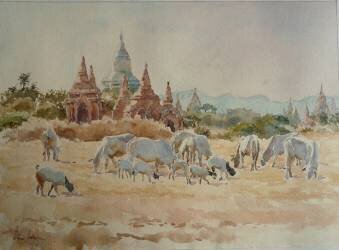 Towards Schwesandaw (Wilson Clive) - Muzeo.com