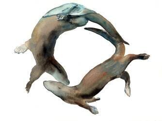 Underwater Ballet (Mark Adlington) - Muzeo.com