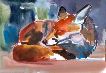 Urban Wild (Mark Adlington) - Muzeo.com