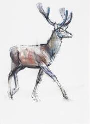 Velvet (Mark Adlington) - Muzeo.com