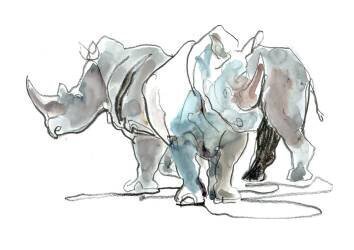 White Rhinos (Mark Adlington) - Muzeo.com