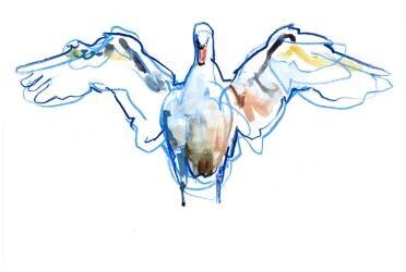 Wings outstretched (Mark Adlington) - Muzeo.com