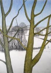 Winters Day (Ann Brain) - Muzeo.com