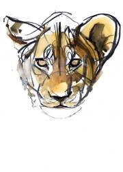 Yellow Cub (Mark Adlington) - Muzeo.com