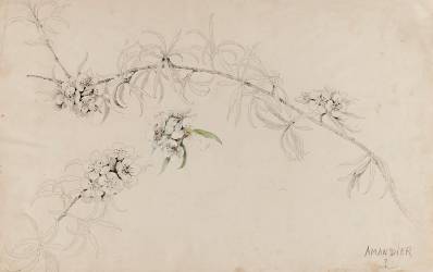 Amandier (Emile Gallé) - Muzeo.com