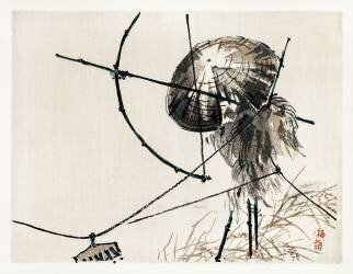 Archer (Kono Barei) - Muzeo.com