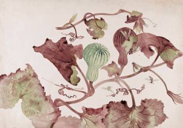 Courge et guêpes (Emile Gallé) - Muzeo.com