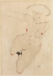 Female nude (Egon Schiele) - Muzeo.com