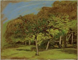 Fruit trees (Claude Monet) - Muzeo.com
