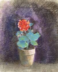 Geranium (Odilon Redon) - Muzeo.com