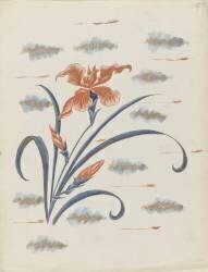 Iris (Louis Hestaux) - Muzeo.com