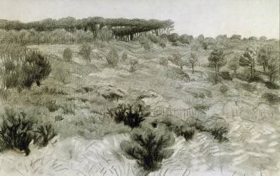 Landscape (Félix Vallotton) - Muzeo.com