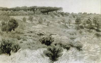 Landscape (Félix Vallotton) - Muzeo.com