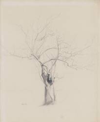 L'Arbre nu (Odilon Redon) - Muzeo.com