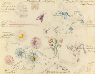 Modèle de décor Louis XVI pour bonbonnières en faïence vénitienne (Emile Gallé) - Muzeo.com