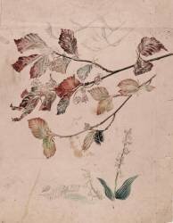 Muguet et noisetier (Emile Gallé) - Muzeo.com