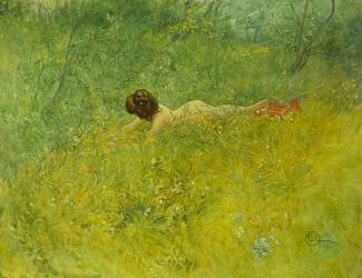 On the Grass (Carl Larsson) - Muzeo.com