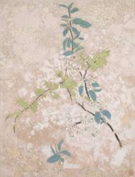 Pear Blossoms (Odilon Redon) - Muzeo.com