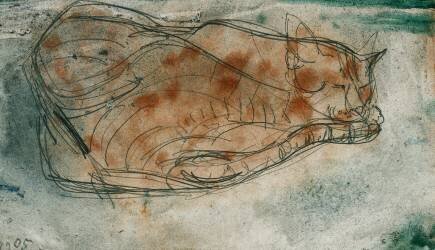 Sleeping cat (Paul Klee) - Muzeo.com