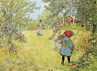 The Apple Harvest (Carl Larsson) - Muzeo.com