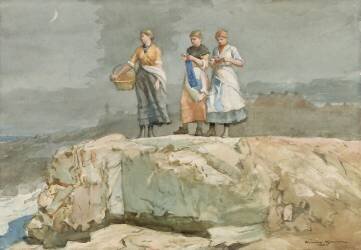 The Cliffs (Winslow Homer) - Muzeo.com