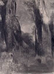 The Trees (Odilon Redon) - Muzeo.com