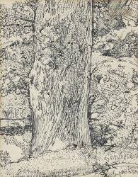 Tree (Harold Gilman) - Muzeo.com