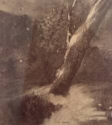Tree and Stars (Odilon Redon) - Muzeo.com