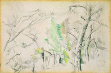 Woodside (Paul Cézanne) - Muzeo.com