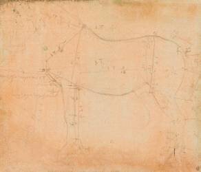 Etude de cheval (Leonardo da Vinci) - Muzeo.com