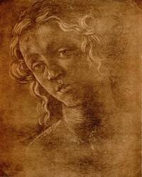Female head (Sandro Botticelli) - Muzeo.com