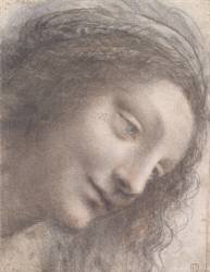 Head of Virgin (Leonardo da Vinci) - Muzeo.com
