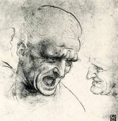 Head studies (Leonardo da Vinci) - Muzeo.com