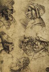 Seven grotesque heads (Leonardo da Vinci) - Muzeo.com