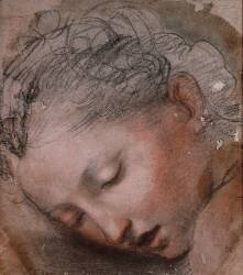 Tête de femme (Baroccio) - Muzeo.com