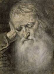 Tête de vieillard (Giovanni Girolamo Savoldo) - Muzeo.com