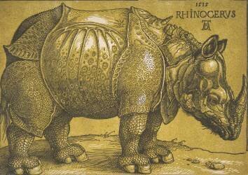 The Rhinoceros (Albrecht Dürer) - Muzeo.com