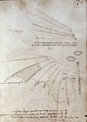 Wing (Leonardo da Vinci) - Muzeo.com