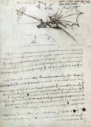 Wing training (Leonardo da Vinci) - Muzeo.com