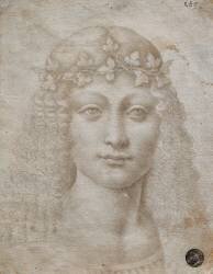 Young Bacchus (Leonardo da Vinci) - Muzeo.com
