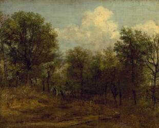 A Wood (John Constable) - Muzeo.com