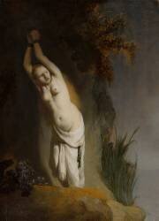 Andromeda (Rembrandt) - Muzeo.com