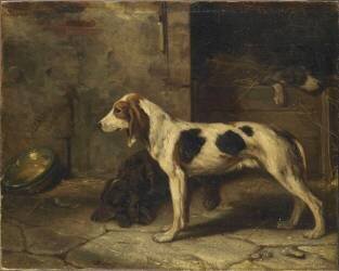 Chien brifauts (Alexandre Gabriel Decamps) - Muzeo.com