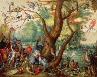 Concert of Birds (Jan van Kessel) - Muzeo.com