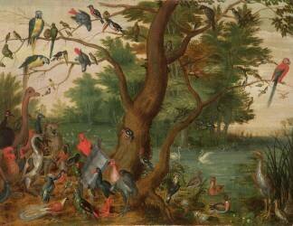 Concert of Birds (Jan van Kessel) - Muzeo.com