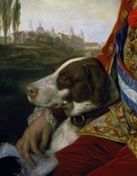 Dog (Johan Zoffany) - Muzeo.com
